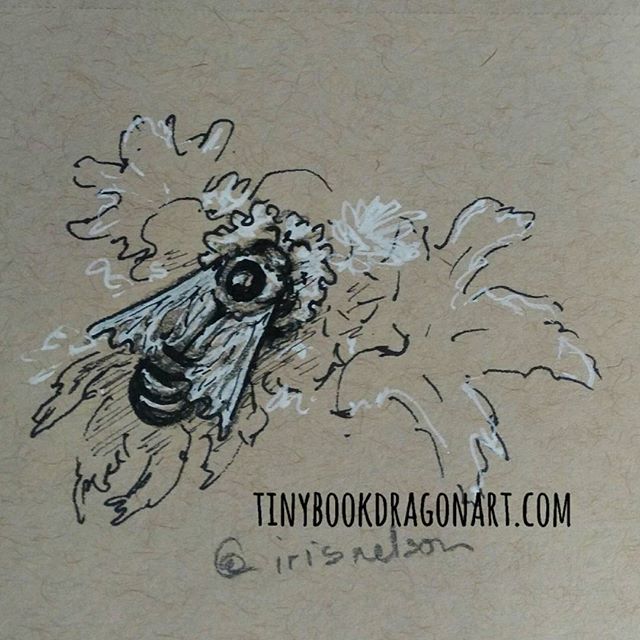 Trying to get my hands working again after rough day yesterday. Sticking with not-humans till my hands warm up. Inspired by @irisnelson_photo 's gorgeous photo. #bee #nature #naturestudy #art #tinyart #sketchbook #sketch #drawingpractice #drawing #nature #prismacolor #ink white #gellyroll #strathmore #tonedpaper #kidlitartist #illustration
